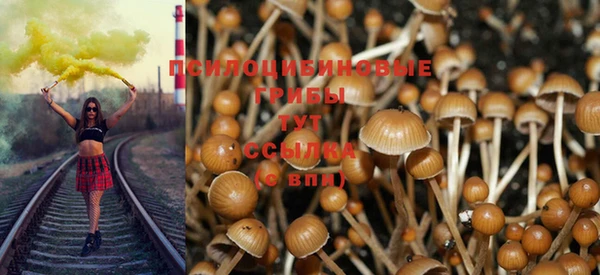 МДПВ Балабаново
