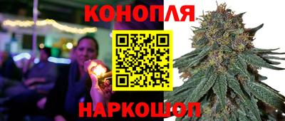 прущая мука Гай