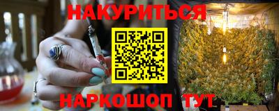 молекула духа Гатчина